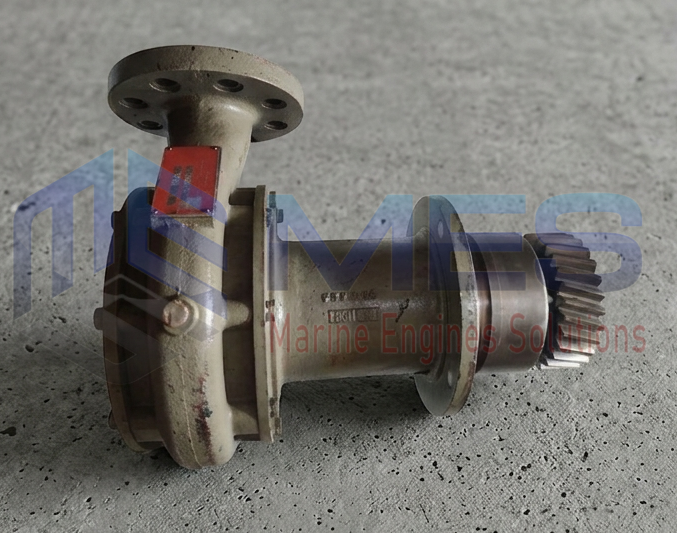 BERGEN C25:33L WATER PUMP
