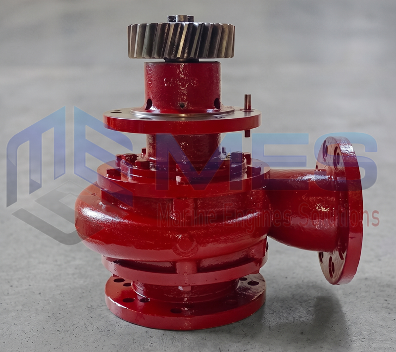 BERGEN BRM BRM-9 BRM-8 BRM-6 WATER PUMP